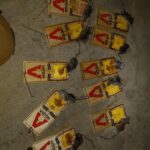 Mastering Rat Cleanup: A Professional’s Guide to Safe and Thorough Eradication