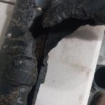 7 Proven Strategies to Keep Rats Out of Your Property for Good