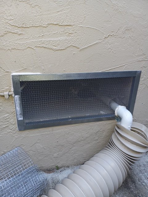 Commercial rat control services