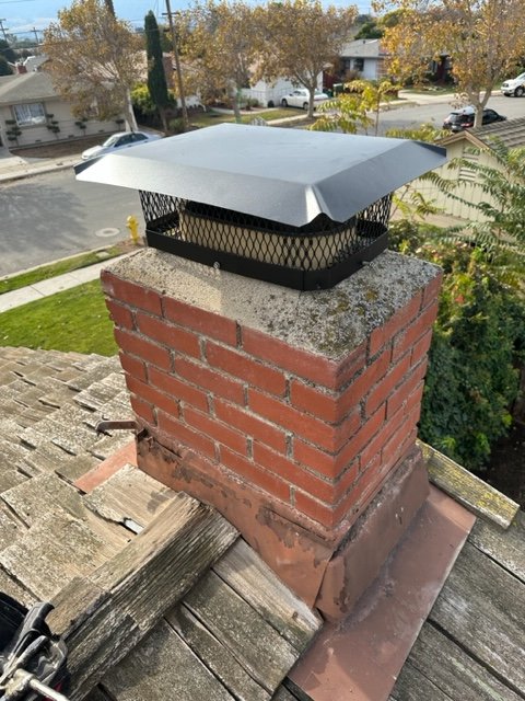 Rodent Roundup - Professional Rat Control Services