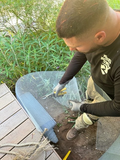 Rodent control expert performing inspection